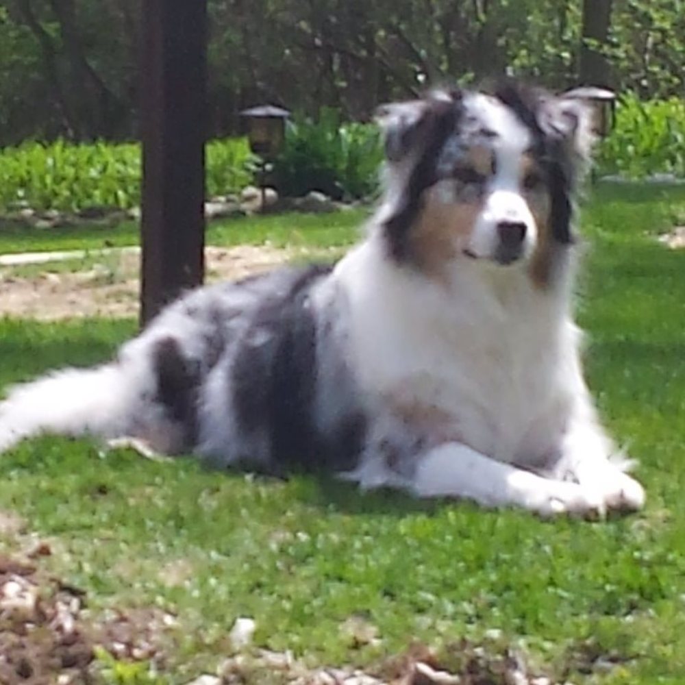 Meet your Posher, Kelly jo